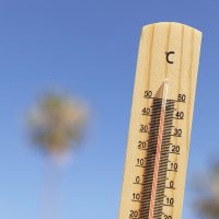 Cet article n'a pas de photo de couverture associée